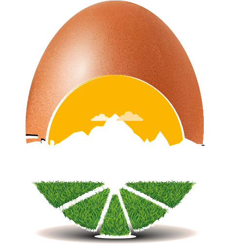 Uova Fattorie Piemonte