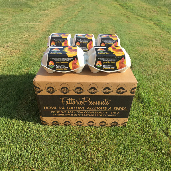 Confezionamento uova Fattorie Piemonte