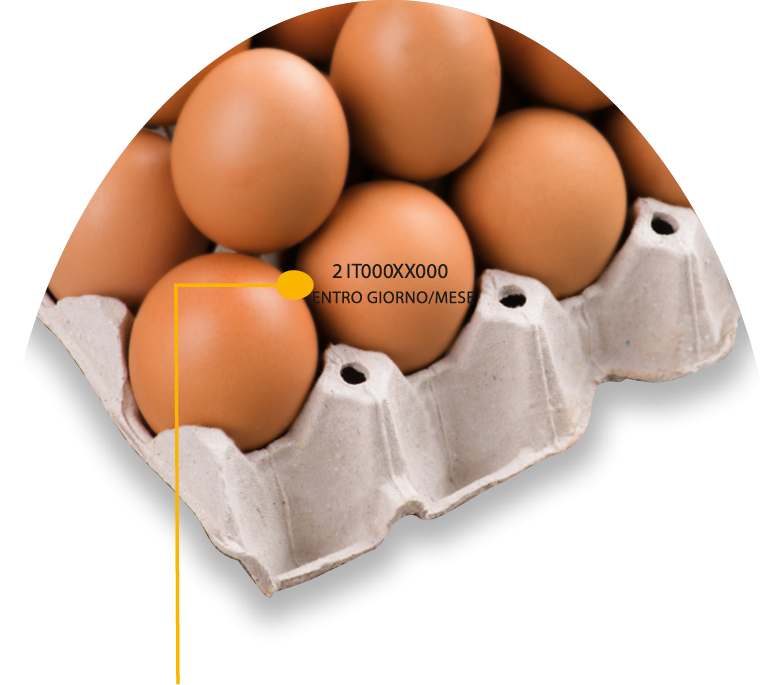 Fattorie Piemonte Codice identificativo uova
