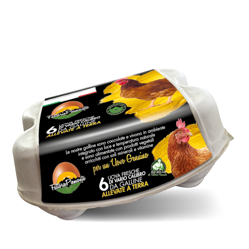 Fattorie Piemonte Confezione 6 uova vario calibro