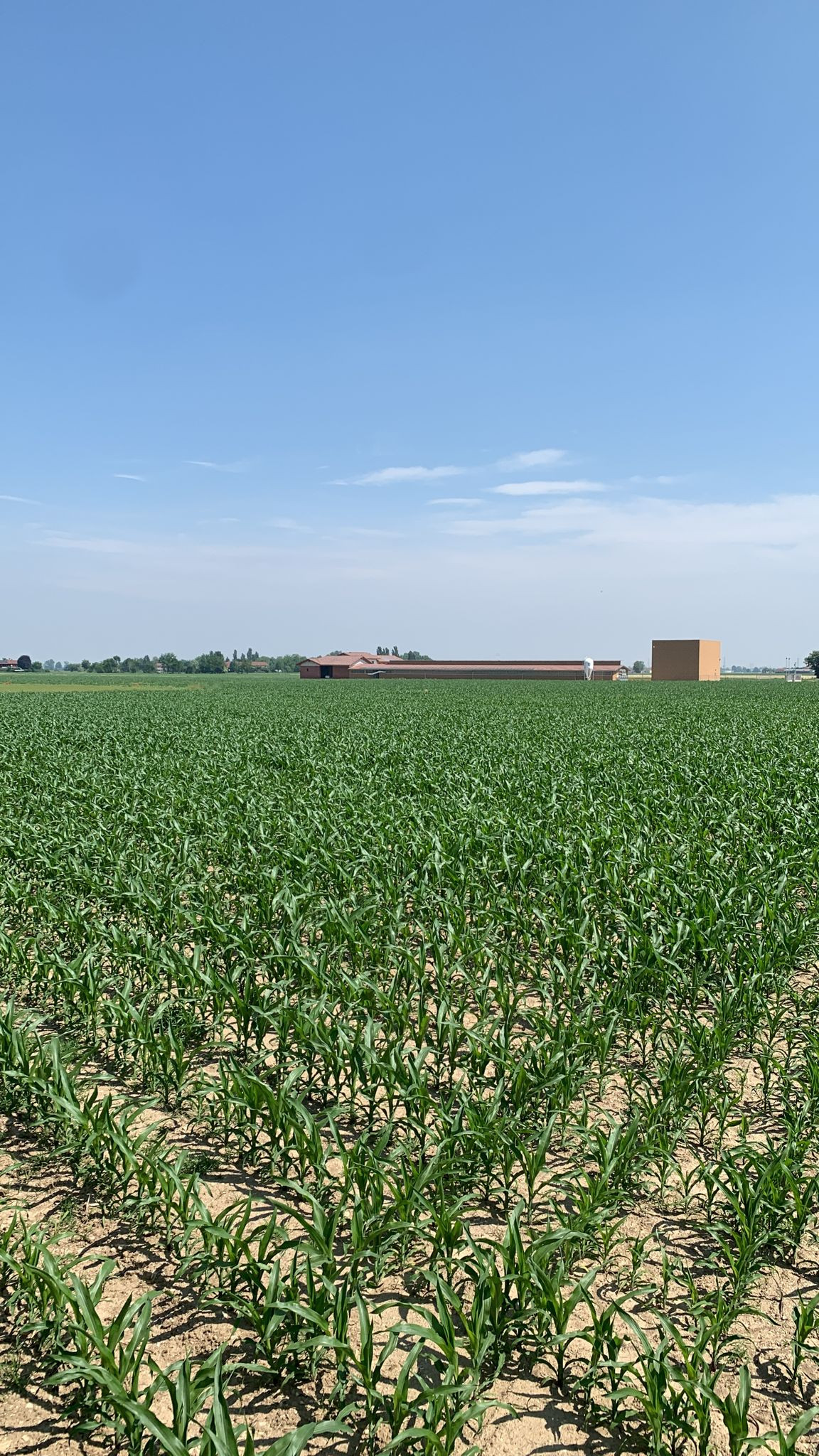 Fattorie Piemonte Gallery 1