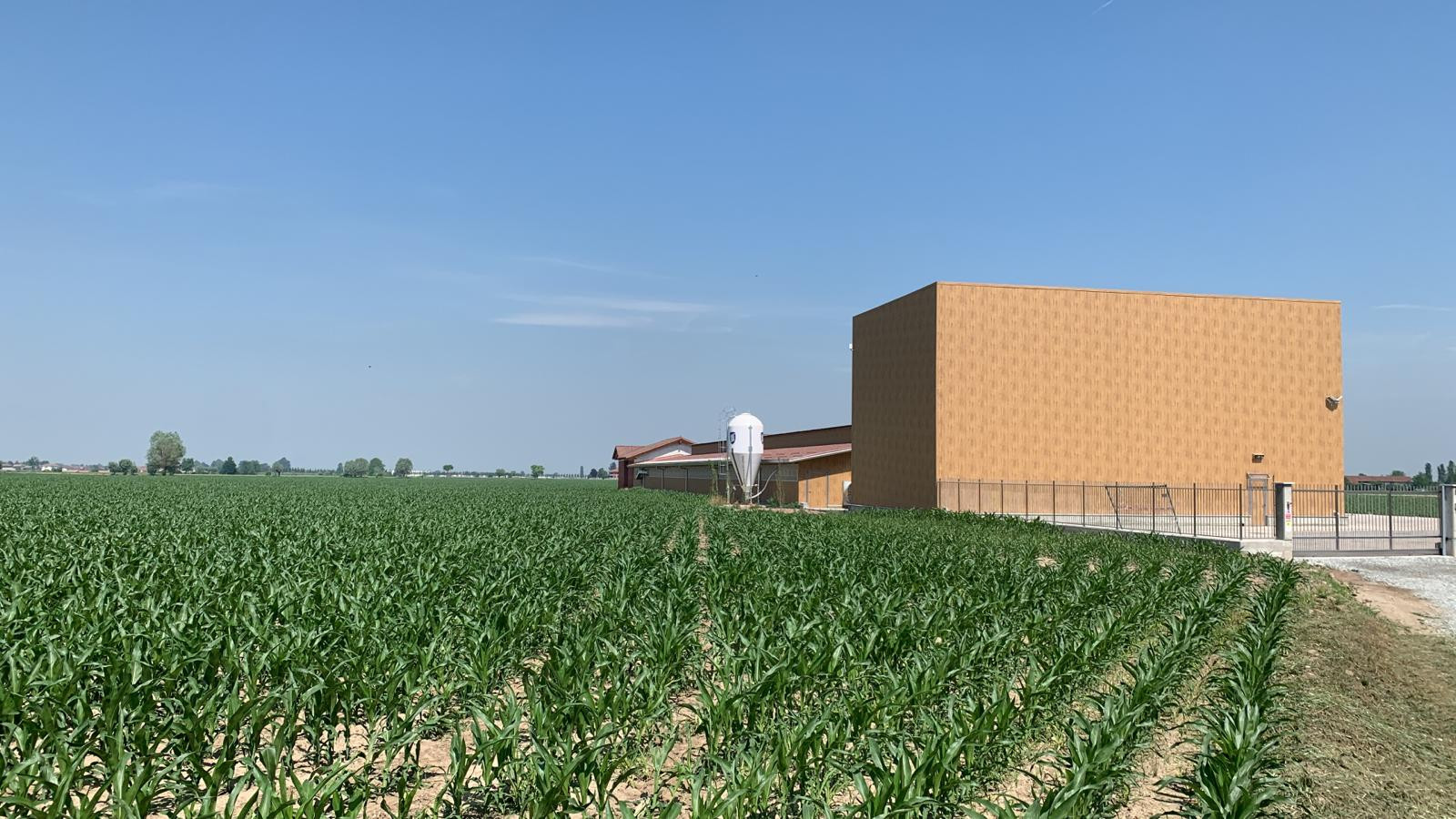 Fattorie Piemonte Gallery 2