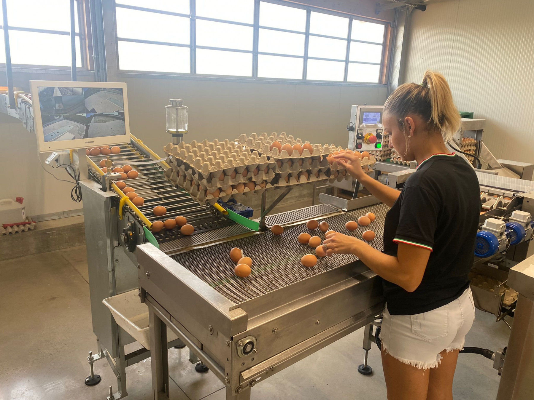 Fattorie Piemonte Gallery 35