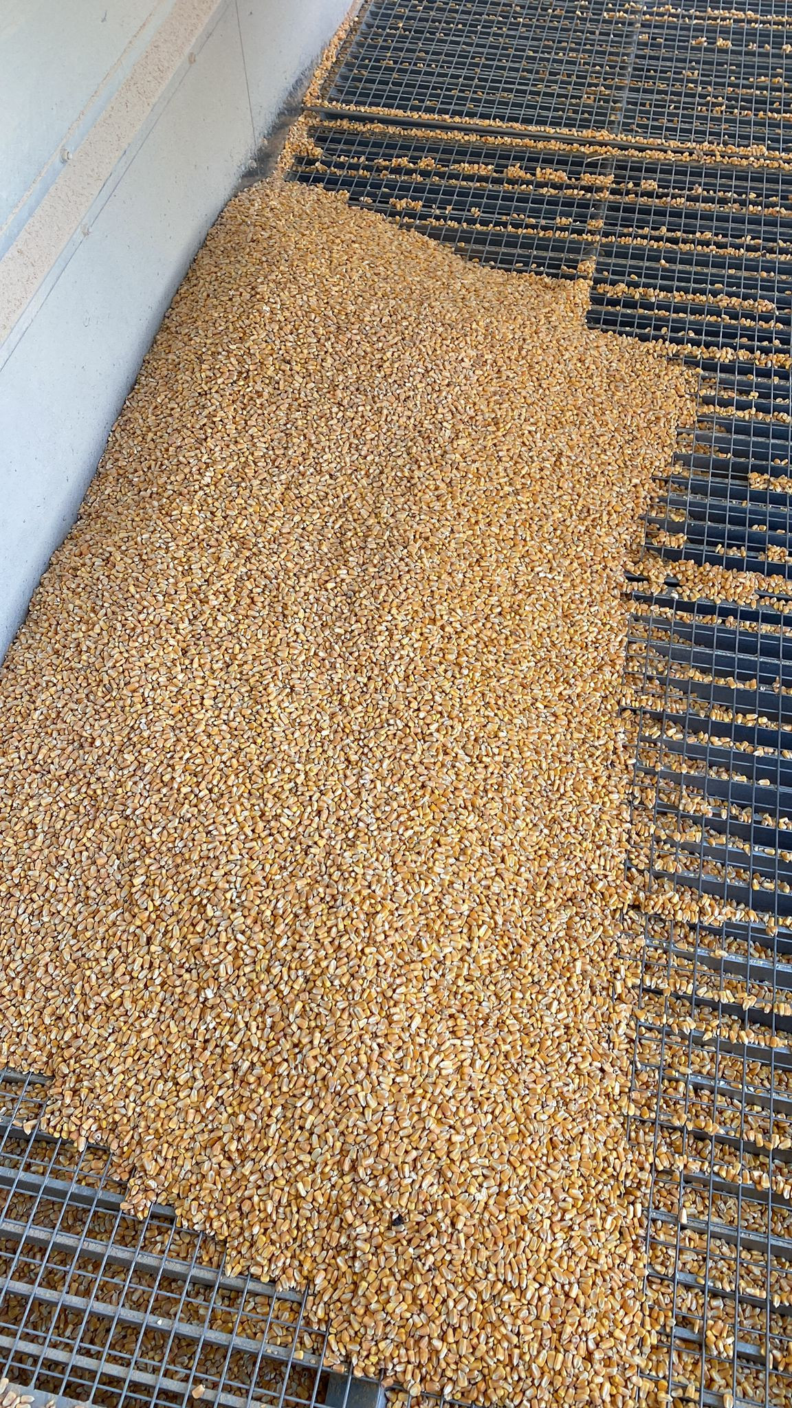 Fattorie Piemonte Gallery 4