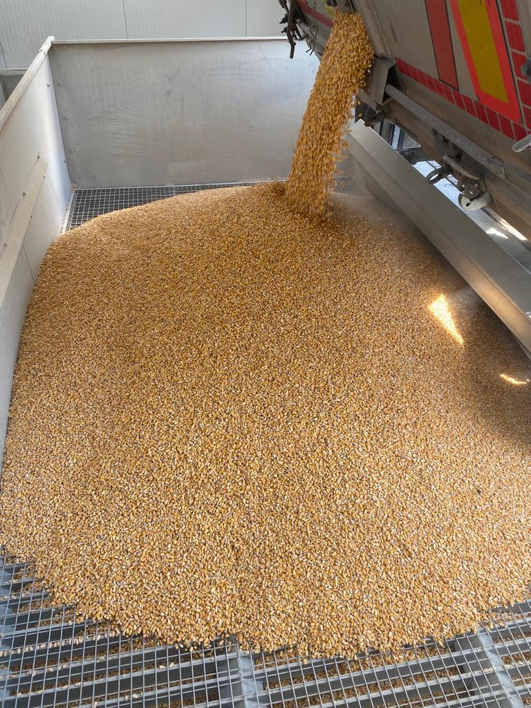 Fattorie Piemonte Gallery 7