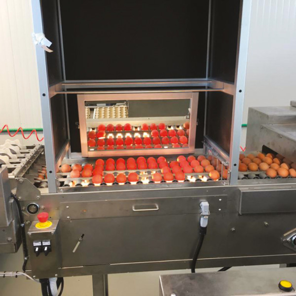 Speratura uova Fattorie Piemonte